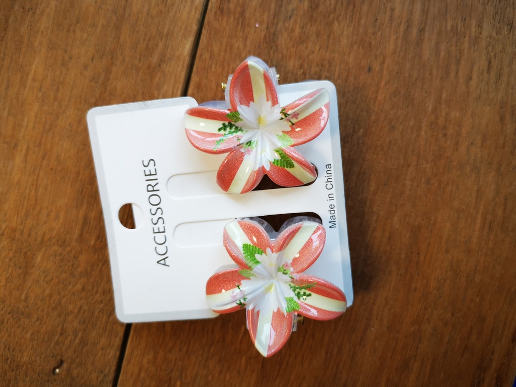 Duo Pinces réversibles cherry - fleurs