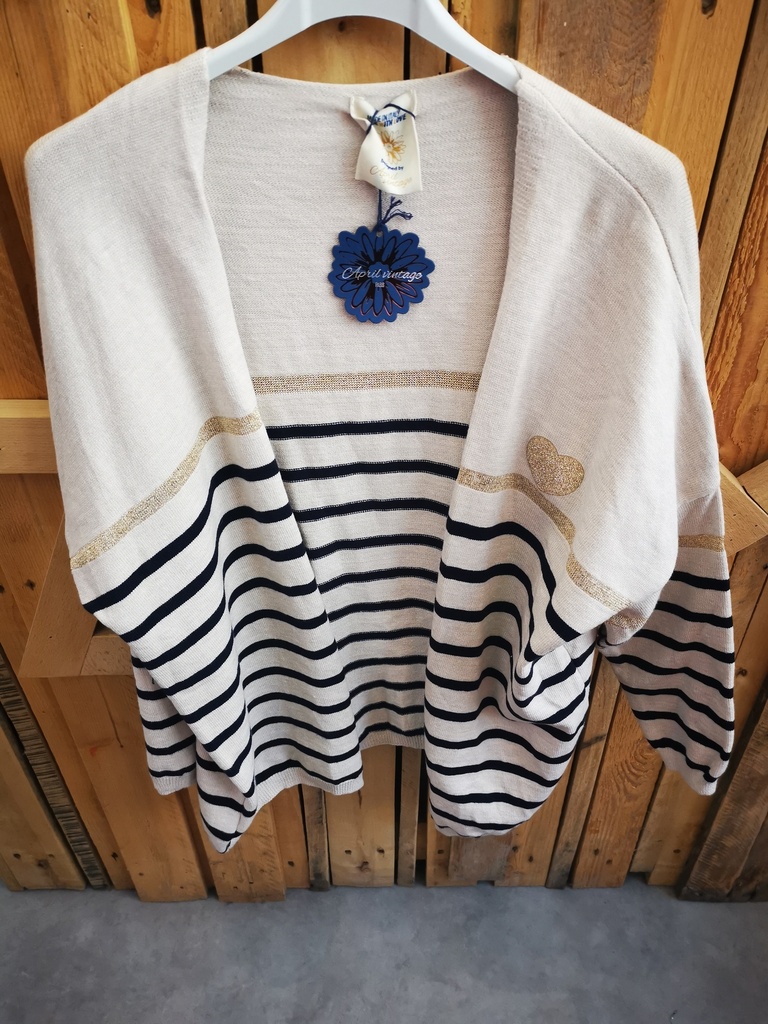 Gilet "Marin" bleu marine et beige