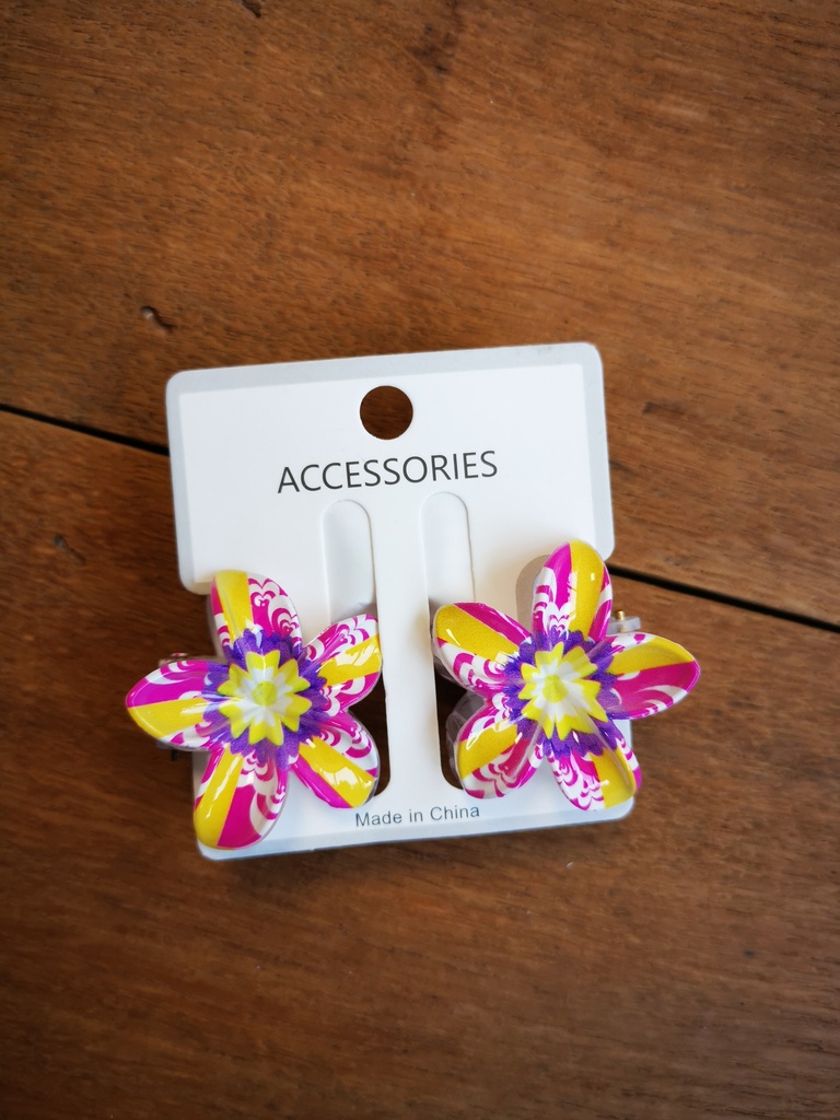 Duo pinces moyennes mauve/rose/jaune