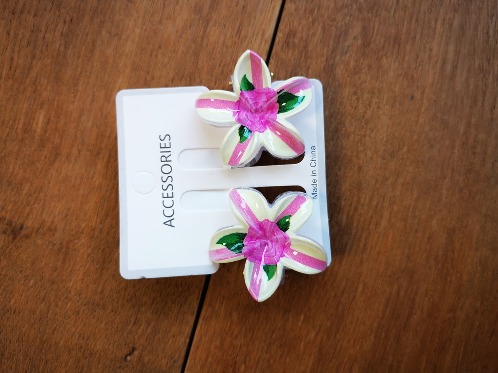 Duo pinces moyennes rose - ivoire 
