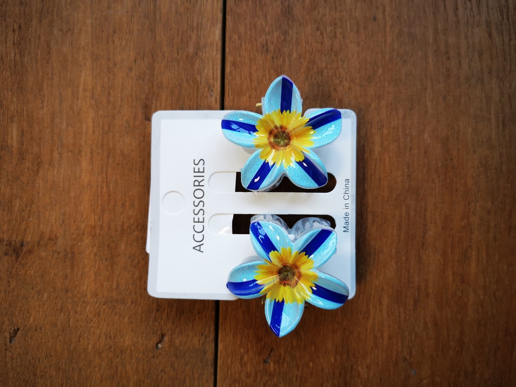 Duo pinces moyennes tournesol - bleu