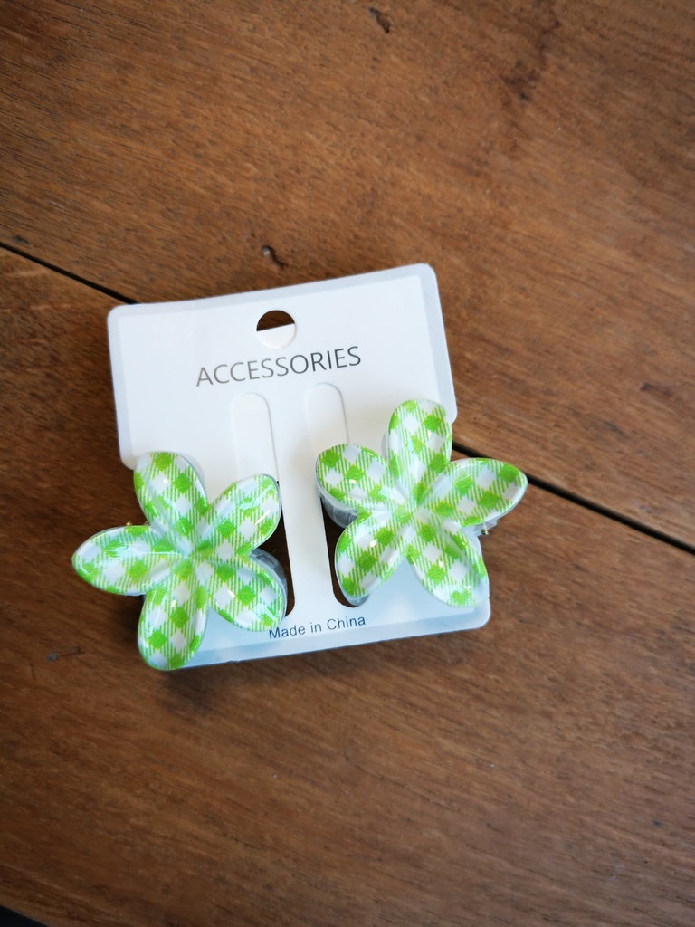 Duo Pinces vichy vert pomme