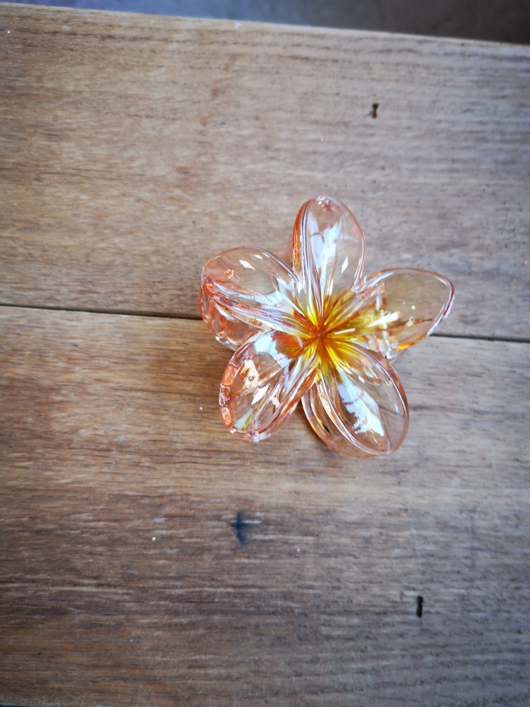 Grande pince "fleur de tiaré" transparente orange