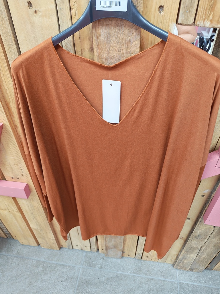 T-shirt uni col V manche longue "Orel" noisette