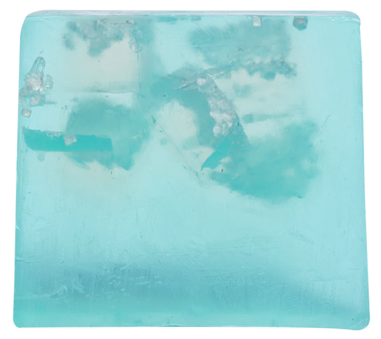 Savon 100gr "Dead Sea Salt"