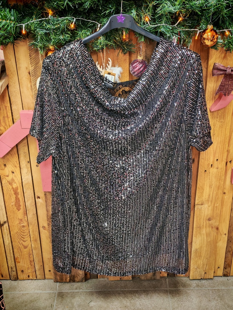Blouse "Noa" argentée strass 