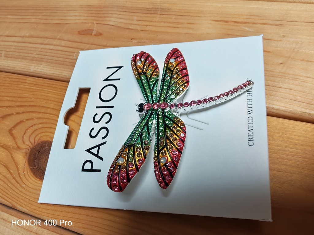 Broche aimantée libellule strass multicolore