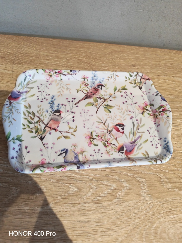 Petit plateau oiseaux 