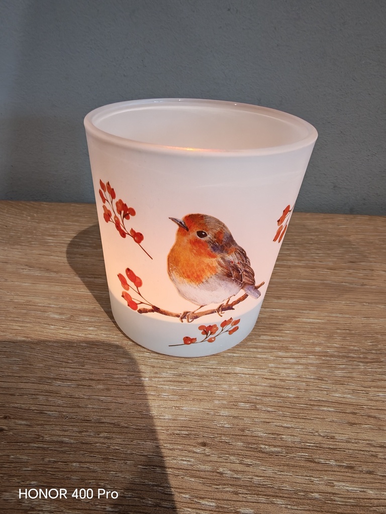Petit bougeoir oiseaux 