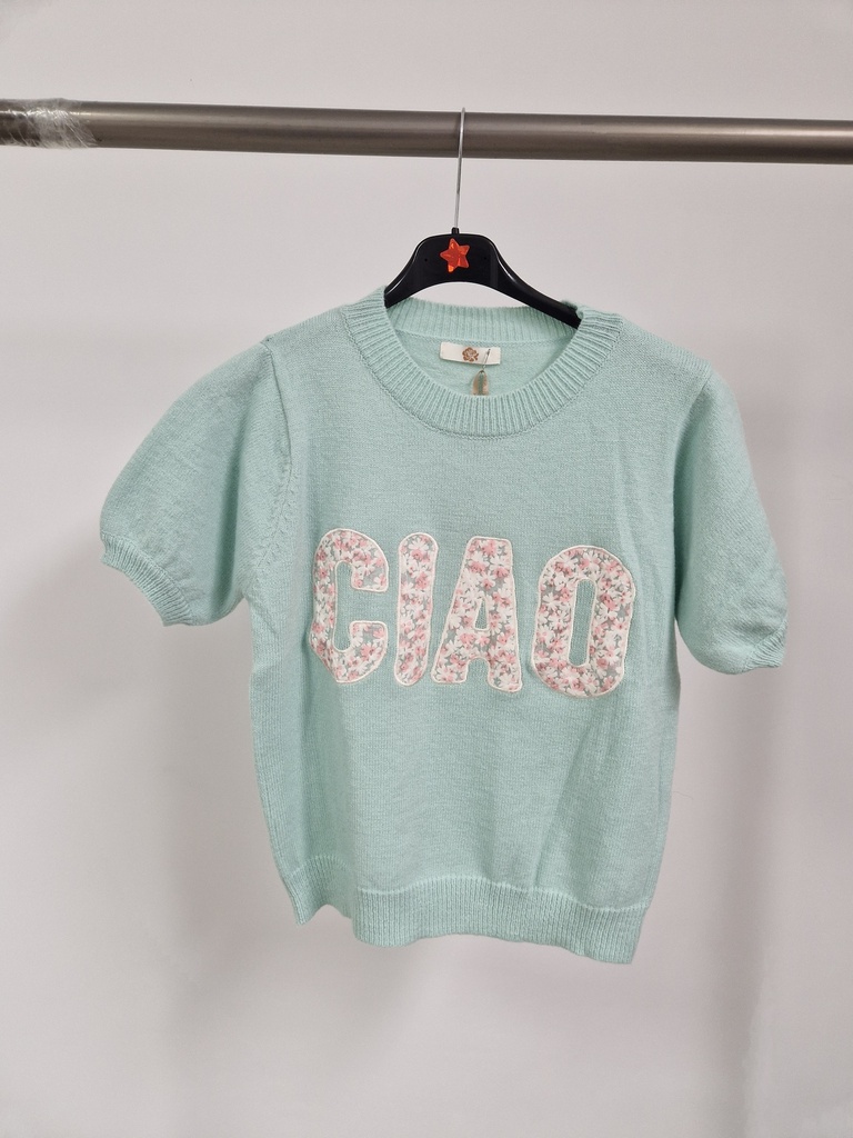 Pull unis-Ciao fleuri vert eau