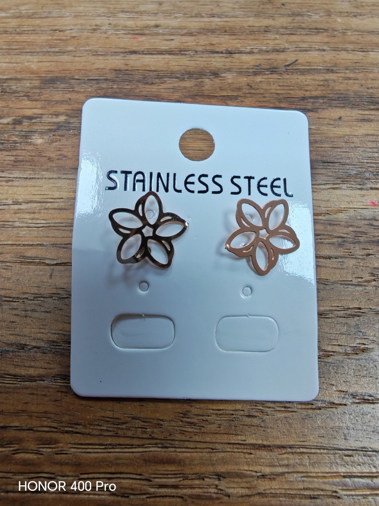 Boucles d'oreilles Acier Chirurgical argentées Fleurs
