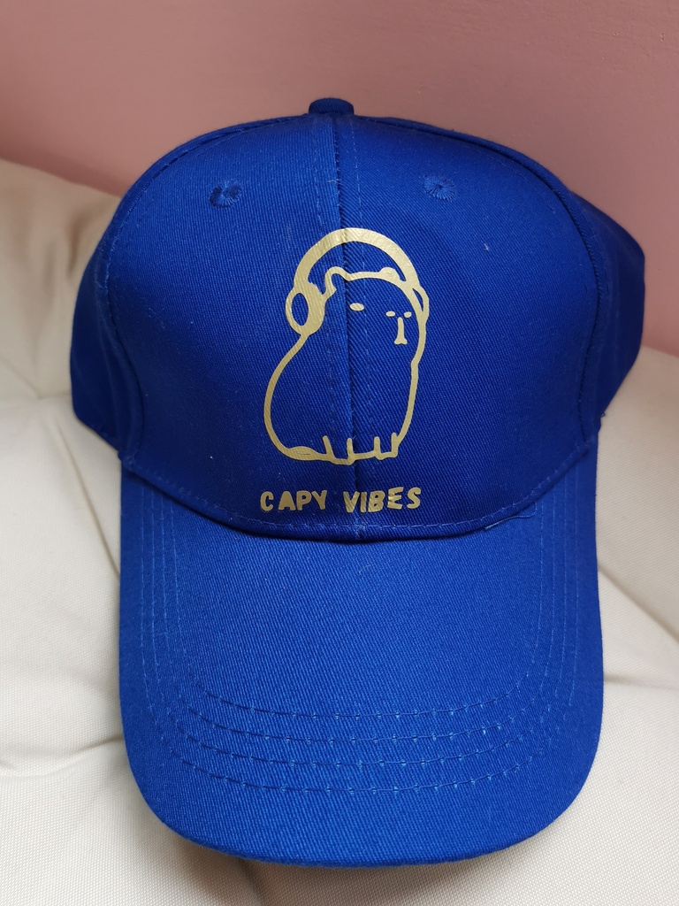 Casquette coton enfant bleue roi capy vibes