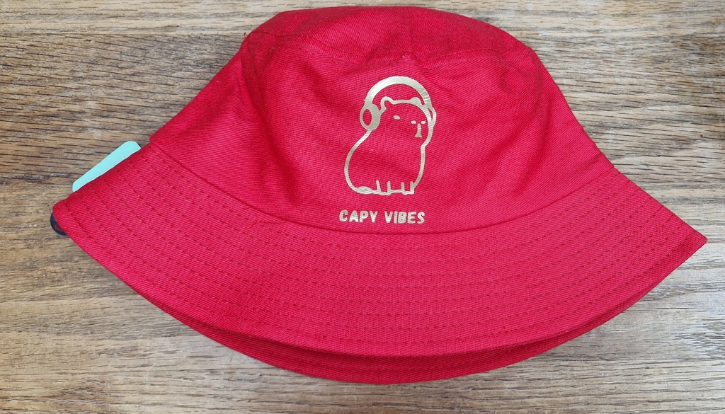 Bob enfant rouge Capy vibes