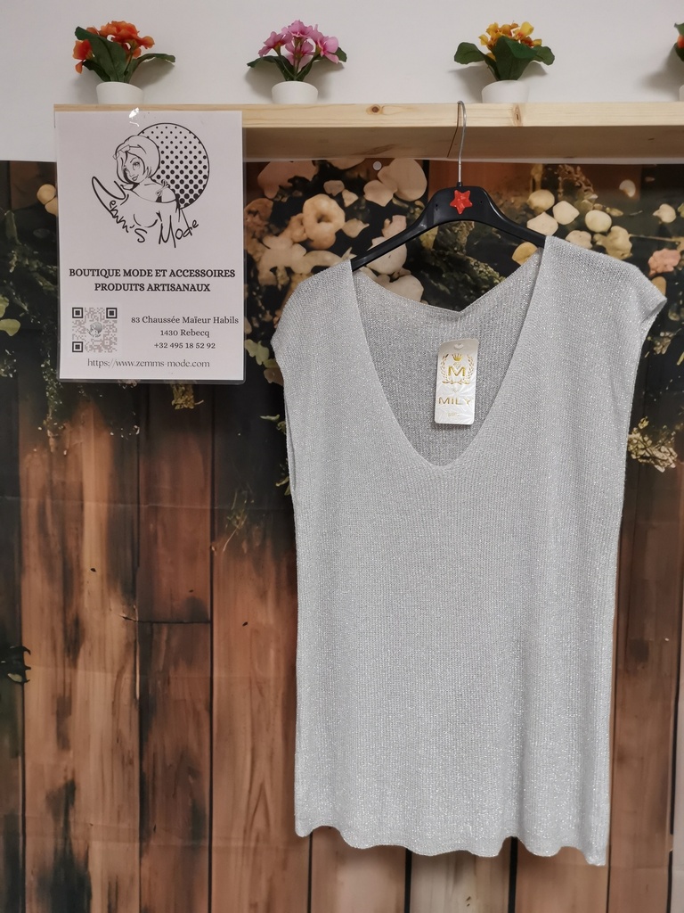 Top lurex "Avia" manches gris PT