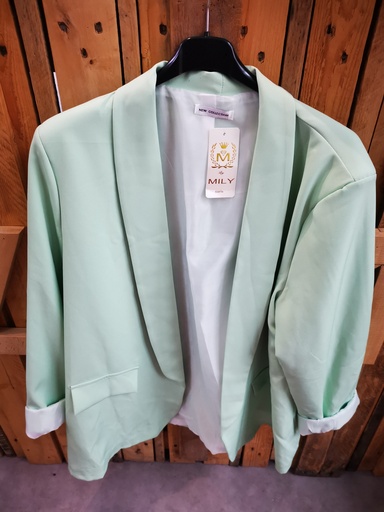 blazer T2 vert eau