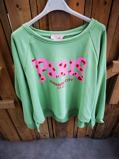 Pull Paris romantic city vert