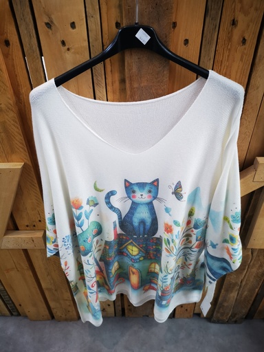 Pull léger chat