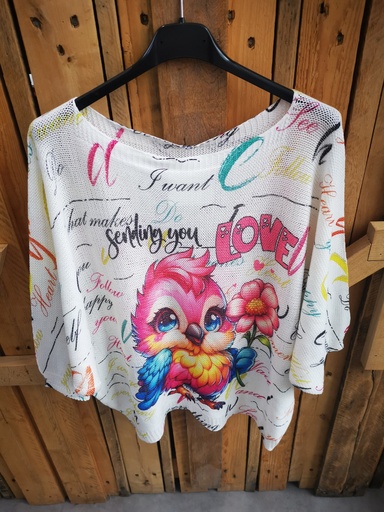 Pull fines mailles avec perroquets 