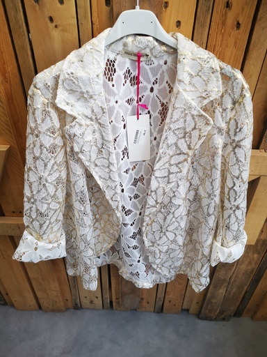 Veste avec broderie dorée