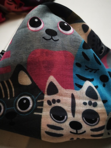 Foulard Chat bleu et rose