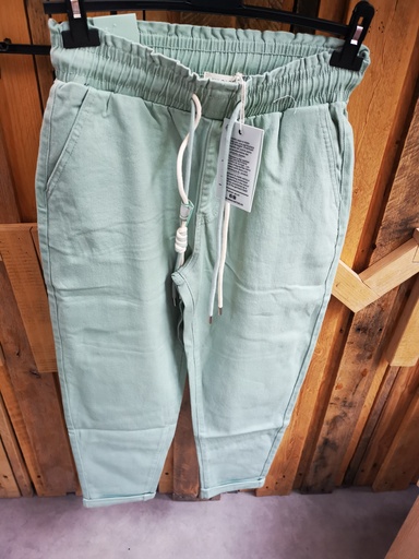 Jeans taille élastique vert eau Nina Carter 