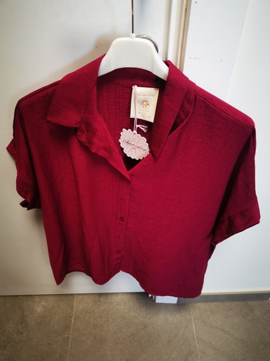 Chemise pourpre violie