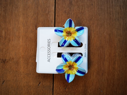 Duo pinces moyennes tournesol - bleu