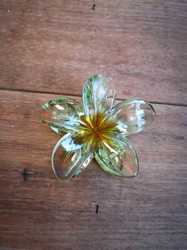 Grande pince "fleur de tiaré" transparente verte