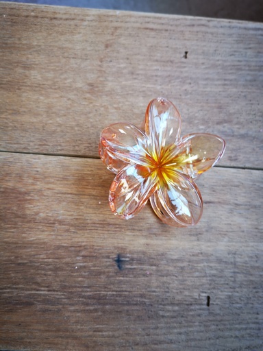 Grande pince "fleur de tiaré" transparente orange