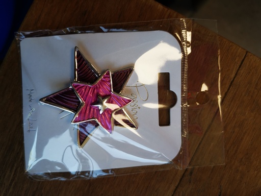 Broche aimantée Etoile rose