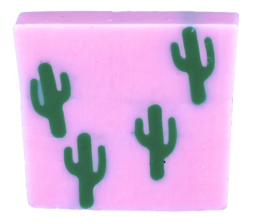 Savon 100gr "Cactus Makes Perfect"