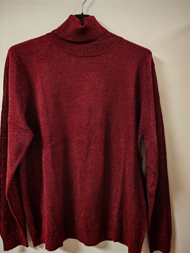 Pull pailleté Lyana bordeaux col roulé