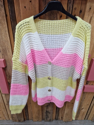 Gilet "Maxine" quadricolore Jaune pâle